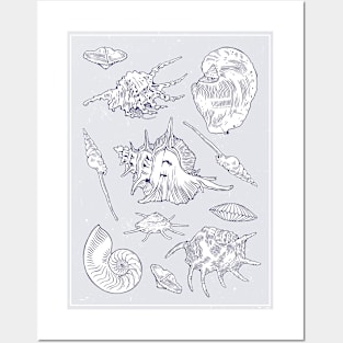 Seashells. Blue set of realistic sea life drawings. Posters and Art